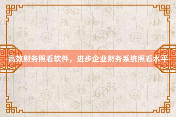 高效财务照看软件，进步企业财务系统照看水平