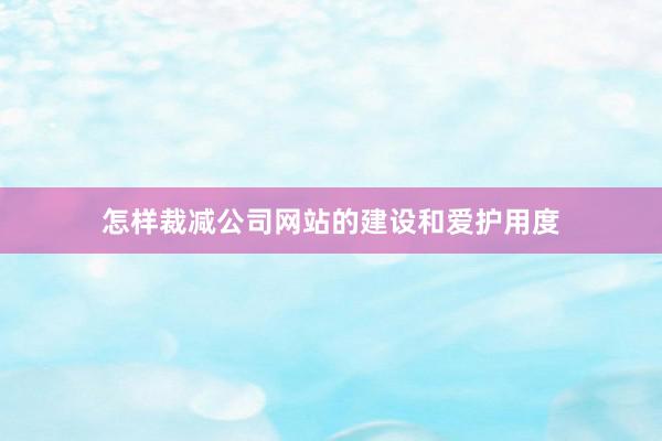 怎样裁减公司网站的建设和爱护用度