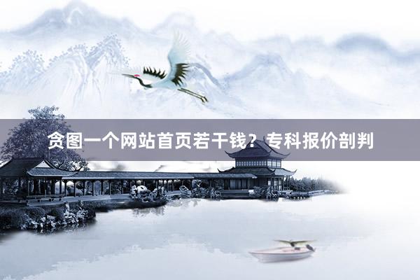 贪图一个网站首页若干钱？专科报价剖判