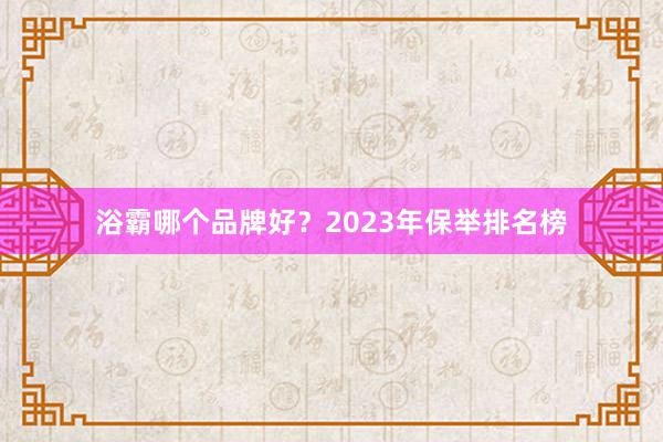 浴霸哪个品牌好？2023年保举排名榜