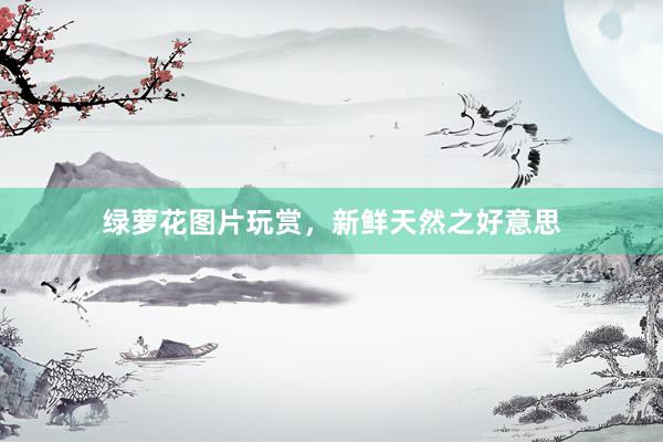 绿萝花图片玩赏，新鲜天然之好意思
