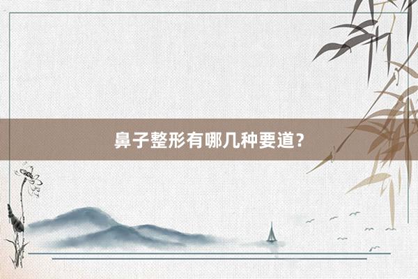 鼻子整形有哪几种要道？