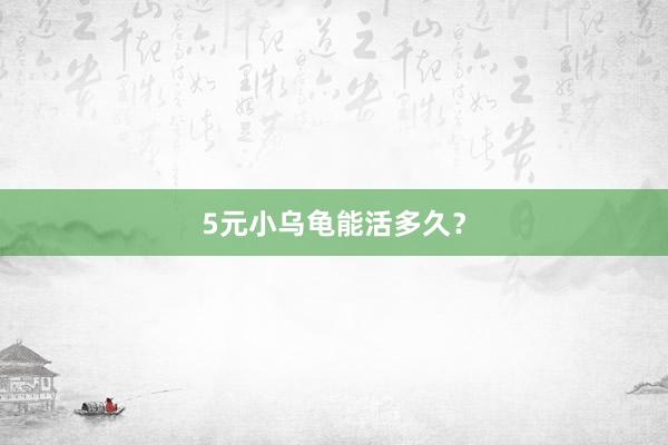 5元小乌龟能活多久？
