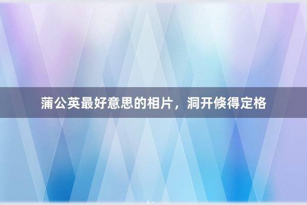 蒲公英最好意思的相片，洞开倏得定格